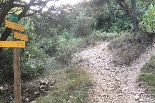 Un corps a été découvert pendu à un arbre chemin Saint-Roman à Clarensac samedi 29 septembre 2018