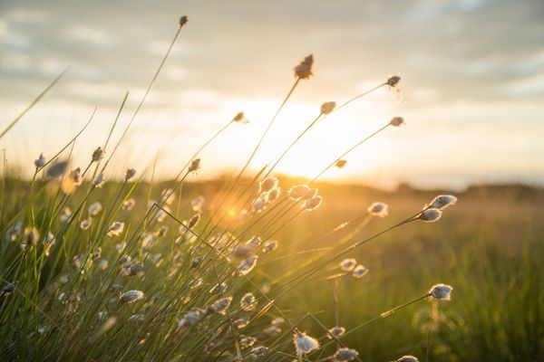 Un soleil plus discret mais toujours présent