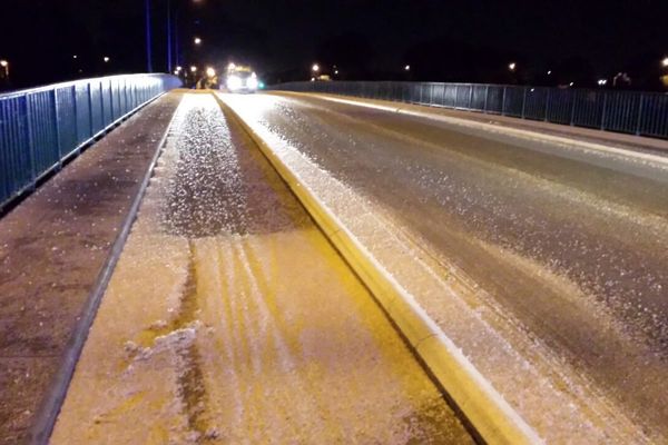 Les éphémères mortes sur le pont de Blagnac ont provoqué un accident, samedi 13 septembre