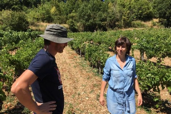 Sébastien Lauveur et son épouse Nathalie font renaître le vignoble de Montmurat (Cantal)