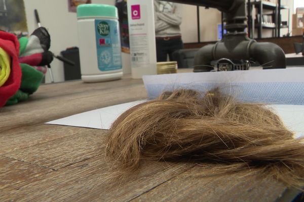 81 dons ont été réalisés en 4 mois permettant de récolter 1650 cm de cheveux.