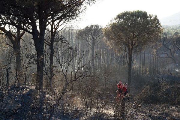 Lors de l'incendie de ce lundi 27 juillet près de Fréjus. 