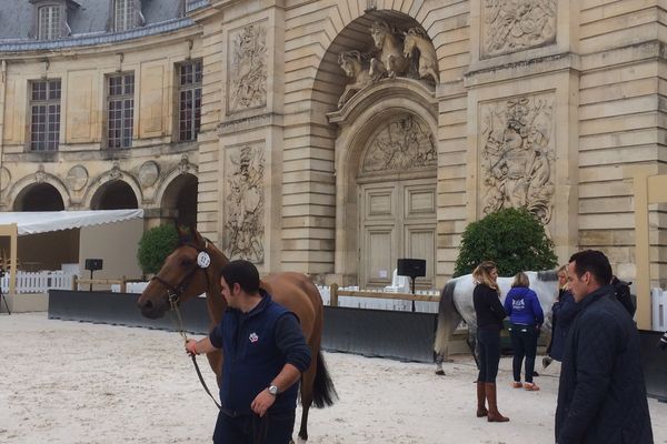 Jumping International du château de Versailles