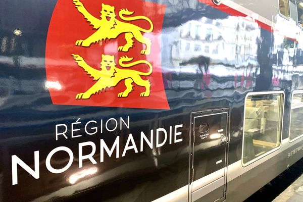 Un accident de personne à Valognes a engendré une interruption du trafic sur le tronçon manchois de la ligne Paris-Caen-Cherbourg, vendredi 3 janvier 2025.