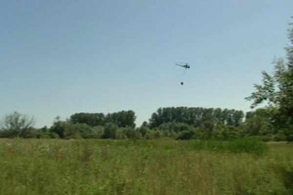 Un hélicoptère de la Kabs largue un puissant larvicide