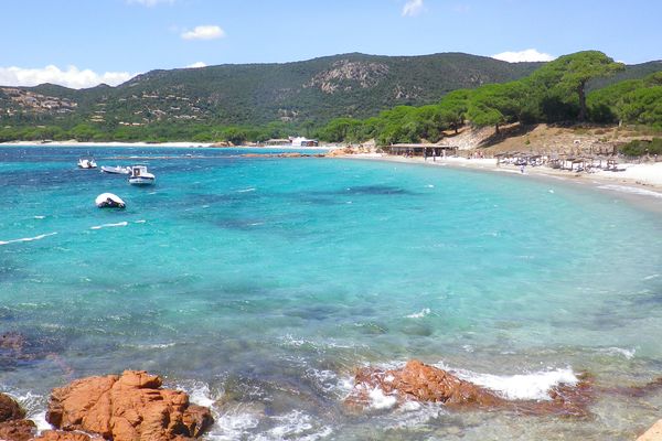 La plage de Palombaggia, qui abrite plusieurs "espaces remarquables" inconstructibles