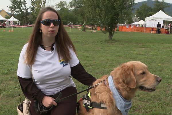 Le chien guide Talma, une golden retriever de deux ans, a changé la vie de sa maîtresse malvoyante.