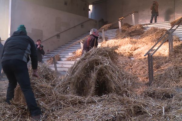 "Trop de normes" : les agriculteurs paillent l'entrée de la cité administrative de Toulouse