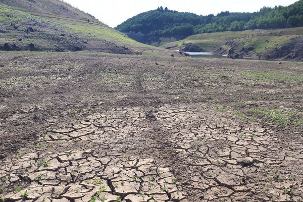 En août 2019, la barrage de la Sep était à sec, victime du manque de pluie. Ce n'est pas le cas pour l'instant, même si la vigilance sécheresse reste de mise sur l'ensemble du Puy-de-Dôme