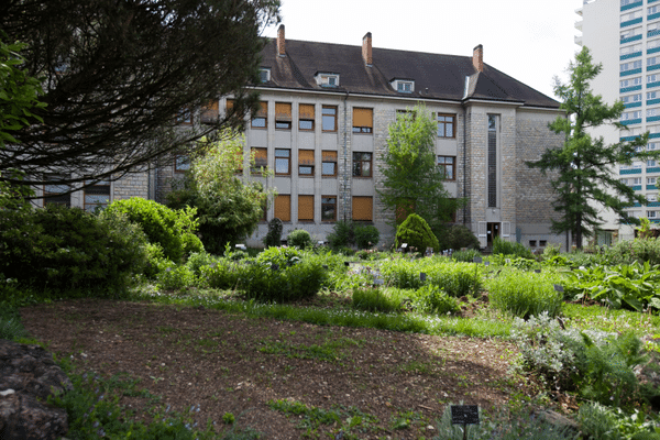 Les lieux, qui ont accueilli le campus de la Faculté des Sciences et techniques et le jardin botanique pendant 60 ans, ont été vidés en 2018.