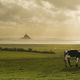 Ombre et lumière au Mont-Saint-Michel.