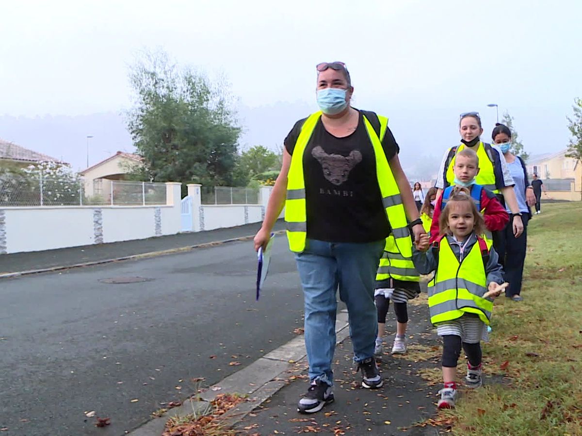 Le code de la route  L'école des loisirs, Maison d'Édition Jeunesse