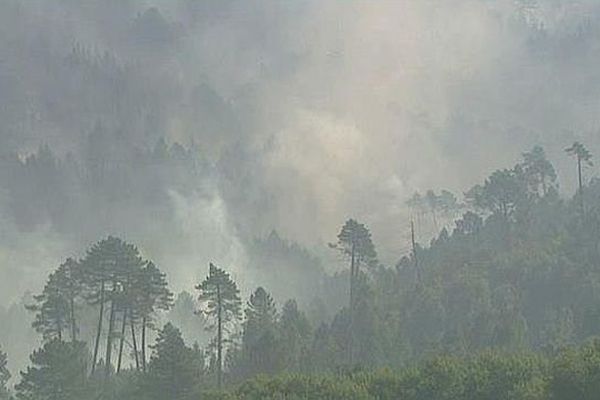 Bastelica (Corse-du-Sud) - incendie - août 2015.