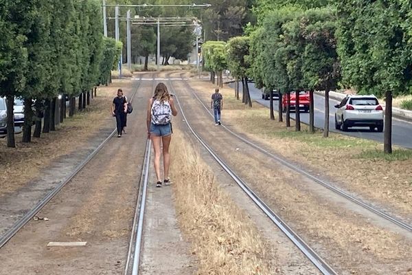 Montpellier - plus de bus et de tram à cause de l'agression d'un contrôleur, les usagers rentrent à pied - 8 juin 2022.