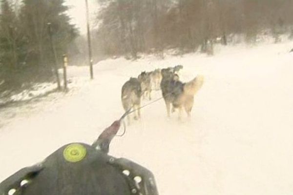 Balade dans le grand Nord ? Non, dans l'Aubrac