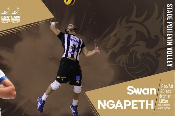 Le Stade Poitevin Volley annonce le retour de Swan N'Gapeth à Poitiers.