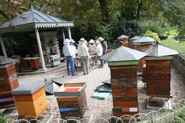 Matériel d'apiculture dans la Marne