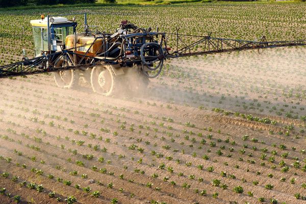 Le maire d'Eybens (Isère) a pris un arrêté pour interdire les pesticides sur le territoire de sa commune.