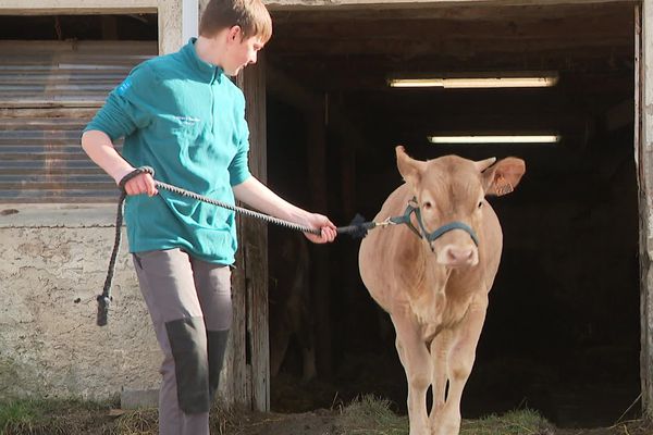 Les "Graines d'éleveurs" en pleine préparation du Salon de l'agriculture.