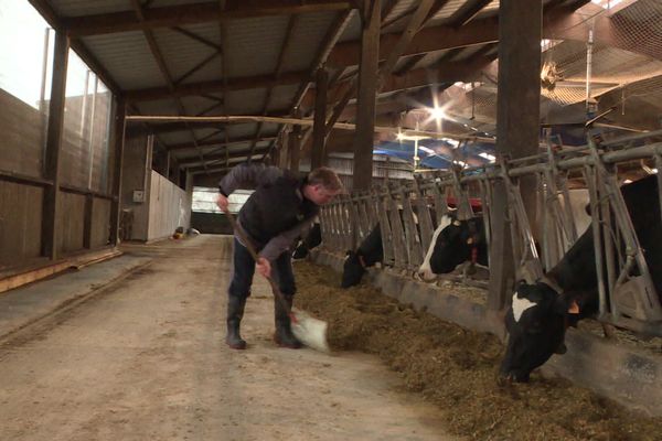 Les industriels du lait ont désormais "carte blanche (...) pour ne pas faire de contrat et imposer un prix unilatéral", déplore Yves Tison, producteur laitier à Saint-James (Manche) et membre de Sunlait.