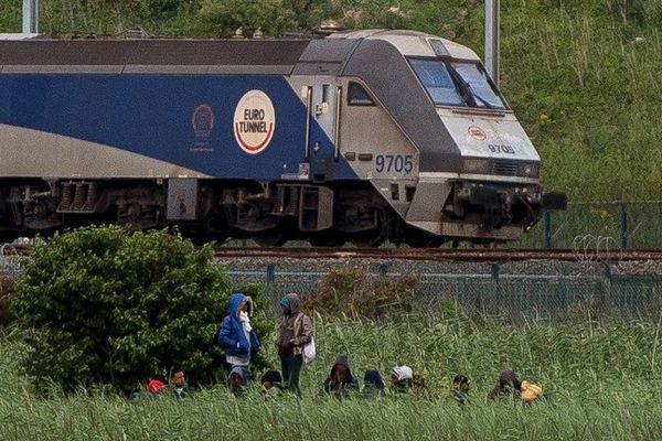 Une navette du Shuttle, fin juillet 2015.