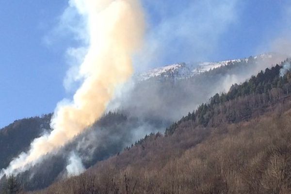 A Auzat (09), un écobuage mal maîtrisé a gagné une forêt de résineux.