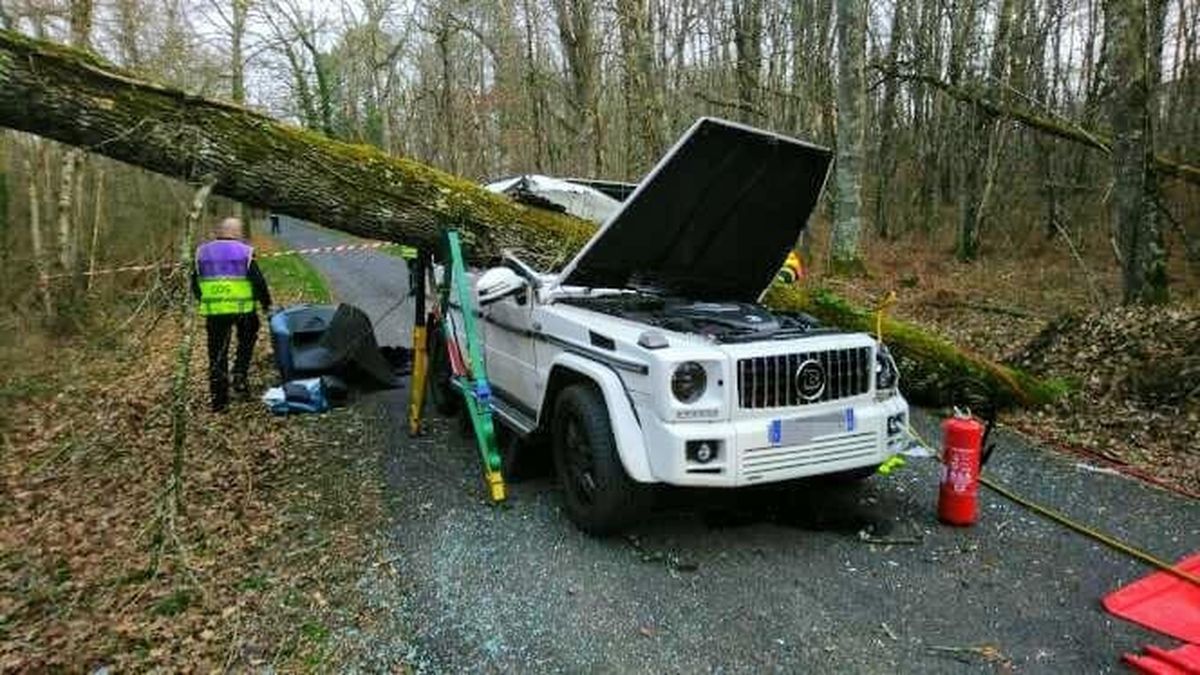 Vent Violent Un Homme Tue Apres La Chute D Un Arbre Sur Sa Voiture Dans Le Lot