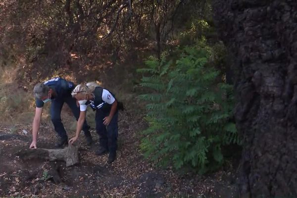 L'homme qui a tenté de mettre le feu dans le massif des Maures mis en examen et incarcéré