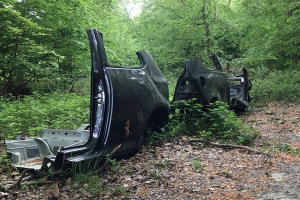 Carcasse au milieu d'une forêt au nord de Rouen (archives juin 2018) 