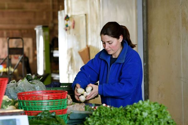 Depuis l'épidémie de coronavirus, la vente directe à la ferme se renforce dans le Puy-de-Dôme.