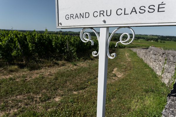 Les vins pourraient devenir plus alcoolisés et moins acides.