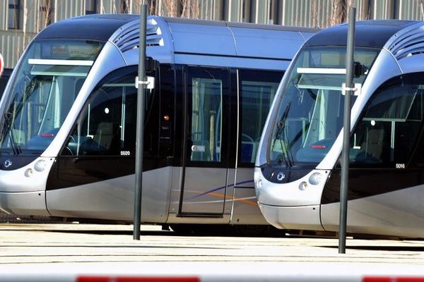 Les rames de tramway ne peuvent pas circuler en raison des températures négatives relevées au petit matin.