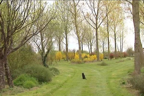 Arboretum de la Petite Loiterie à Monthodon (37)