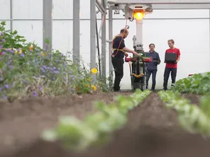 Depuis avril 2024, une ferme robotisée a ouvert ses portes à Lagny-le-Sec (Oise) et produits des légumes de saison bio.