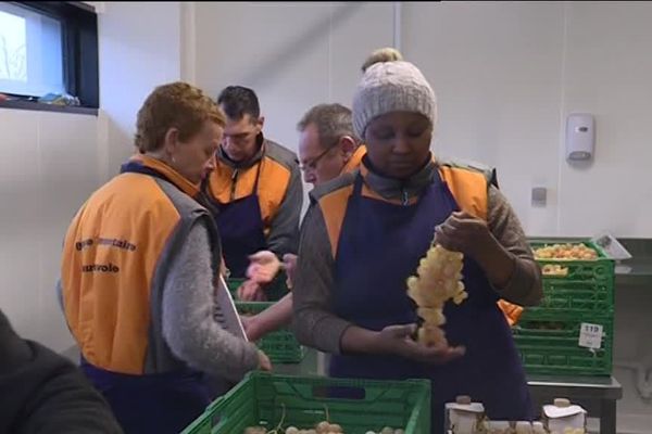 Un chantier d'insertion a été créé pour organiser le tri des fruits et légumes à la banque alimentaire de Haute-Savoie