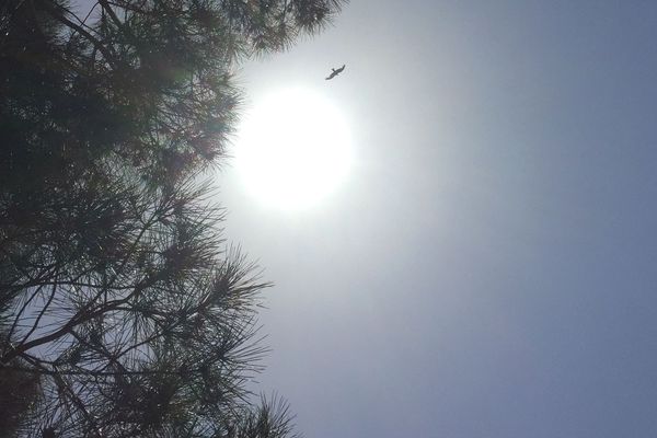 Lundi 23 juillet, le soleil brillera généreusement sur l’ensemble de la région Auvergne-Rhône-Alpes. Jusqu’à vendredi il fera beau et chaud… très chaud même.