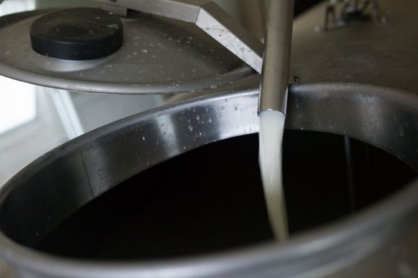 Sodiaal a collecté 4,7 milliards de litres de lait auprès de 20.000 producteurs l'an dernier. Le rappel concerne plus de 38 000 litres sortis de l'usine de Campbon en Loire-Atlantique.