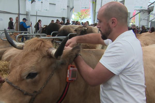 Rendez-vous incontournable des professionnels du monde agricole, le Sommet de l'élevage en Auvergne est l'opportunité pour les entrepreneurs de présenter leurs innovations.