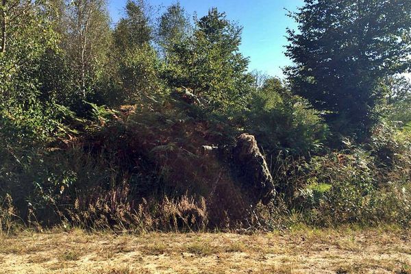 Damien Rouget se fond dans le paysage beauceron