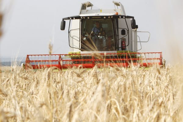 Le service de remplacement permet aux agriculteurs de s'absenter pour les vacances, tout en permettant la continuité de l'activité. 