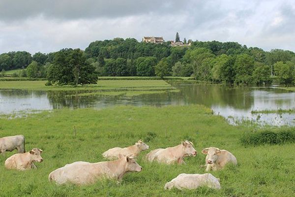 Montréal dans l'Yonne