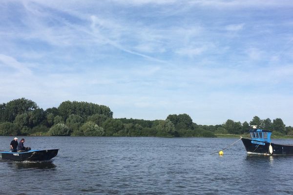 La Loire en amont de Nantes à hauteur de Saint-Julien-de-Concelles (44)