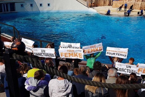 L'action surprise et silencieuse des militants One Voice, au Parc Astérix, samedi 1er septembre.