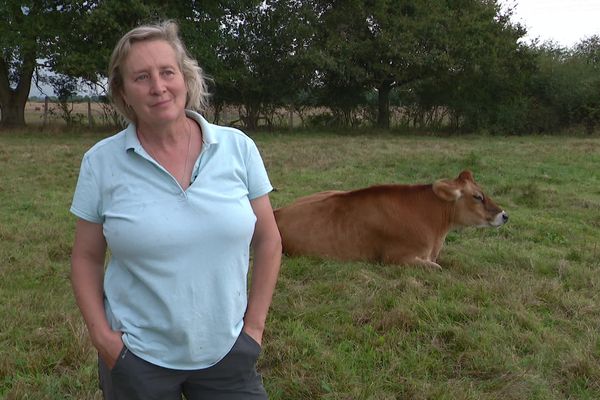 Le domaine des Douages accueille plus de 800 animaux sur une centaine d'hectares.