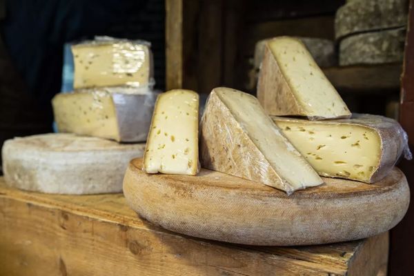 Ceci est un Saint-Nectaire, un fromage qui ressemble au fromage fermier « Le Chasteau ».