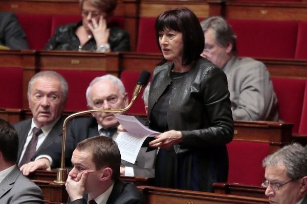 Danielle Auroi, députée EELV du Puy-de-Dôme, conduit un groupe de travail sur les relations Union européenne-Ukraine à l'Assemblée Nationale.