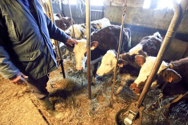 Avec les conclusions des EAG, les agriculteurs attendent des résultats concrets.