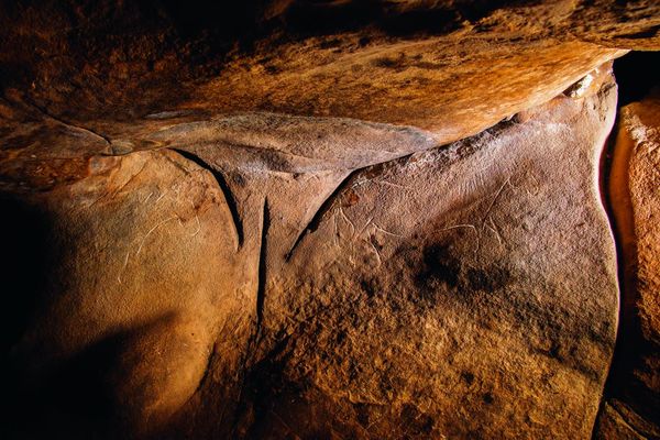 Frise paléolithique gravée dans un abri sous grès en forêt des Trois-Pignons (Seine-et-Marne), vers 20 000 avant notre ère, 153x70x60 cm.