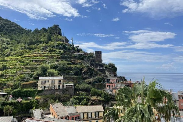 Des vignobles dans les Cinqueterre en Italie en juin dernier.