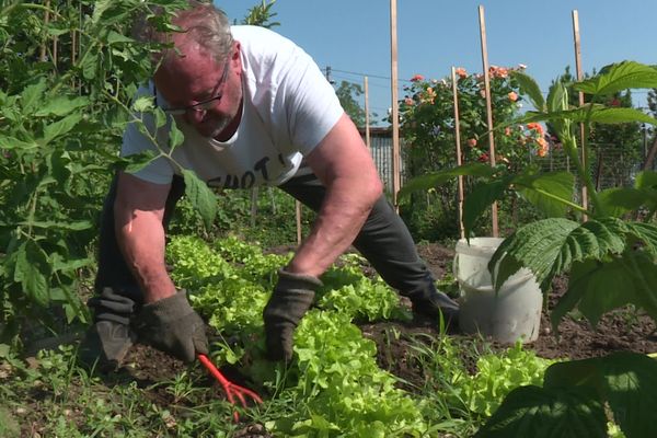 Dans les jardins ouvriers et privés près de la plateforme industrielles, les taux de PFAS relevés dans les légumes sont au dessus des recommandations européennes.